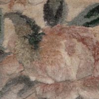 chinese carpet cleaning